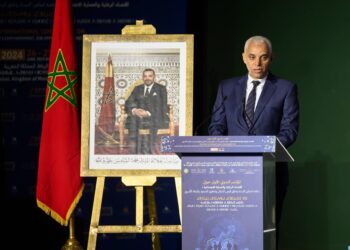 آيت طالب :  اقتصاد الرعاية بوابة لتحقيق أهداف النموذج التنموي