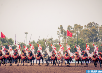 انطلاق فعاليات الدورة ال39 لأسبوع الفرس بالمركب الملكي للفروسية والتبوريدة دار السلام بالرباط