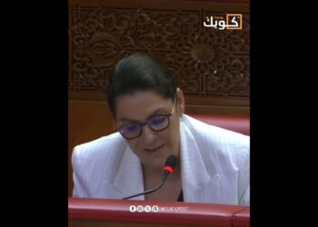 المنصوري : برنامج مدن بدون صفيح مكن إلى متم شهر ماي من تحسين ظروف عيش نحو 347 ألف أسرة