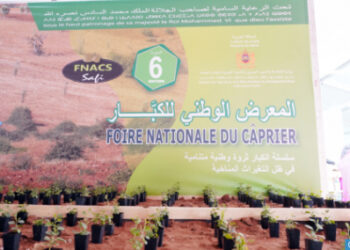 المعرض الوطني للكبّار: فضاء للتفكير في سبل تثمين وتطوير هذه السلسلة ذات التأثير الاقتصادي والاجتماعي المهم