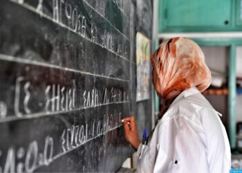 انطلاق الدورة التكوينية الأولى في مجال تدريس اللغة الأمازيغية بالتعليم الابتدائي لفائدة مدرسي التعليم المدرسي الخصوصي