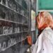 انطلاق الدورة التكوينية الأولى في مجال تدريس اللغة الأمازيغية بالتعليم الابتدائي لفائدة مدرسي التعليم المدرسي الخصوصي