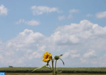 توقعات أحوال الطقس اليوم الخميس