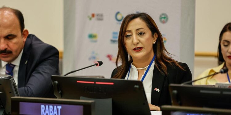 المنتدى السياسي العالمي  (HLPF) High Level Political Forum ..فتيحة المودني تترأس جلسة حوارية