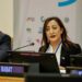 المنتدى السياسي العالمي  (HLPF) High Level Political Forum ..فتيحة المودني تترأس جلسة حوارية