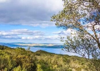 توقعات أحوال الطقس لليوم الاثنين