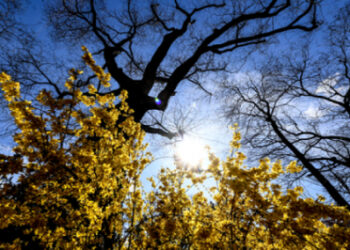 توقعات أحوال الطقس لليوم الأحد