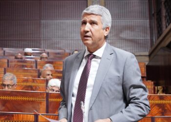 الصديقي : الاستثمارات في المياه بلغت 28 مليار درهم منذ انطلاق استراتيجية الجيل الأخضر