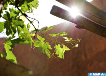 توقعات أحوال الطقس لليوم الثلاثاء