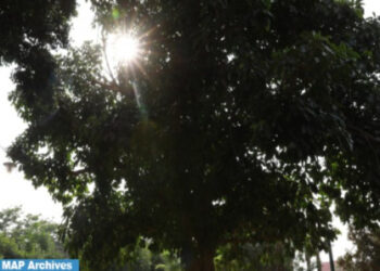 توقعات أحوال الطقس اليوم الثلاثاء