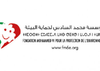 إقليم سيدي إفني.. حملة “بحر بلا بلاستيك” تحط الرحال بشاطئ “إمي نتاركا”