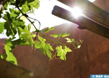 توقعات أحوال الطقس لليوم الخميس