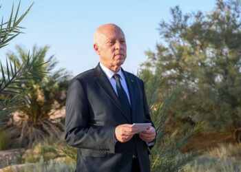 تونس.. الرئيس سعيد يكلف وزير الشؤون الاجتماعية برئاسة الحكومة خلفا للحشاني