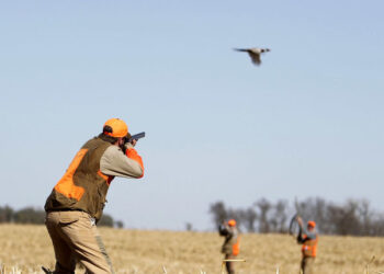 المغرب، وجهة قنص “فريدة” و”ساحرة” (مجلة فرنسية)