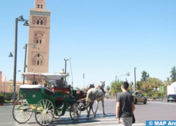 هذا هو تاريخ النسخة الرابعة للقمة العالمية للهيدروجين الأخضر وتطبيقاته بمراكش