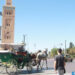 هذا هو تاريخ النسخة الرابعة للقمة العالمية للهيدروجين الأخضر وتطبيقاته بمراكش