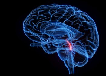 ماذا يحدث إذا فشل السائل الدماغي الشوكي في أداء وظيفته؟ .