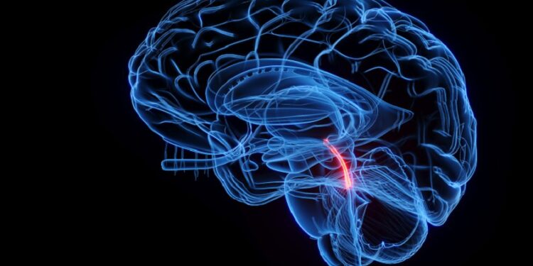 ماذا يحدث إذا فشل السائل الدماغي الشوكي في أداء وظيفته؟ .