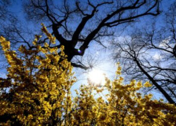 توقعات أحوال الطقس لليوم الأحد