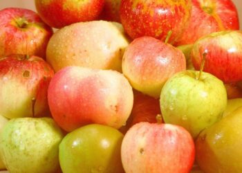 فوائد و مضار التفاح