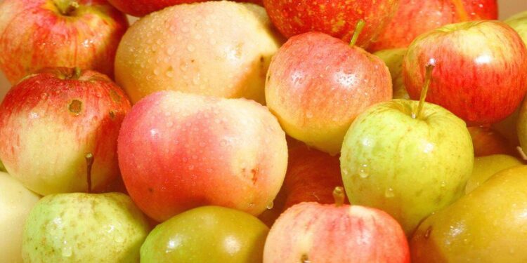 فوائد و مضار التفاح