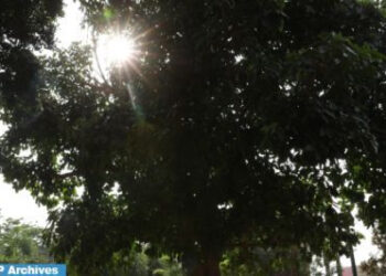 توقعات أحوال الطقس لليوم الجمعة