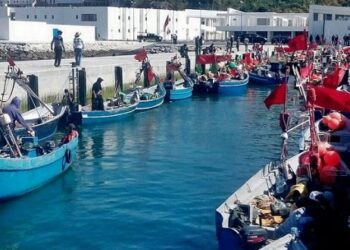 ميناء المهدية: انخفاض الكميات المفرغة من منتجات الصيد الساحلي والتقليدي بـ 4 في المائة في متم يوليوز 2024