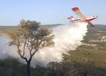 اندلاع حريق على الحدود الجزائرية التونسية