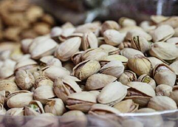 سبب الرغبة الشديدة بتناول أطعمة مالحة