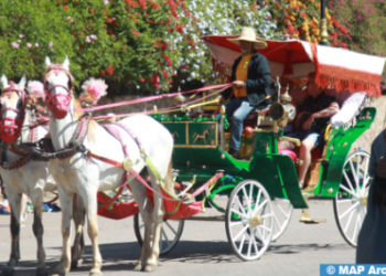 عربات “الكوتشي” بتارودانت.. دليل لاكتشاف التراث الثقافي والسياحي للمدينة