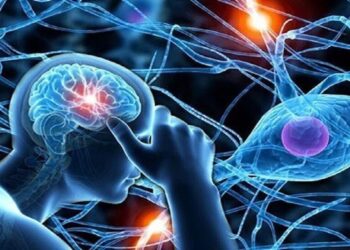 العلامات الأولى لمرض التصلب المتعدد