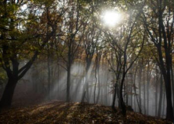 توقعات أحوال الطقس لليوم الأربعاء