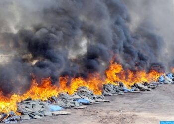 الصويرة.. حرق أزيد من 10 أطنان من مخدر الشيرا