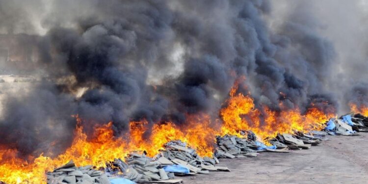 الصويرة.. حرق أزيد من 10 أطنان من مخدر الشيرا