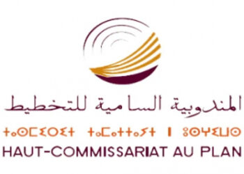 القطاع الأولي: سبع جهات خلقت 82,4 بالمائة من القيمة المضافة في سنة 2022 (مندوبية)