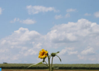 توقعات أحوال الطقس لليوم الأربعاء