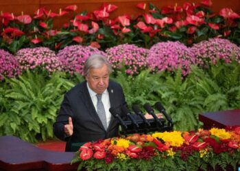 تنمية.. غوتيريش يرحب بالشراكة بين الصين وإفريقيا