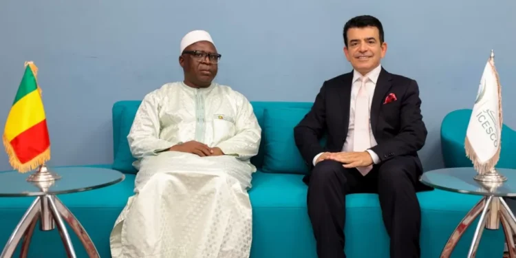 الإيسيسكو تطلق مبادرة لحفظ وترميم مخطوطات “تمبكتو” التاريخية بمالي