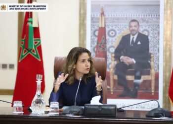 ليلى بنعلي تتباحث سبل تعزيز التعاون مع الوكالة الأمريكية USAID