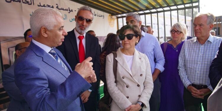 أمزميز.. لجنة تابعة لمنظمة الصحة العالمية تشيد بالبرنامج الملكي لتوفير الوحدات الصحية المتنقلة في مناطق الزلزال