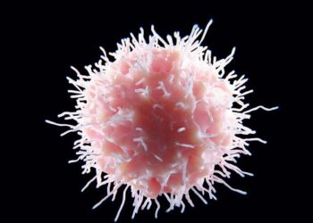 مع بداية “موسم الأمراض”.. أطعمة أساسية لتعزيز المناعة