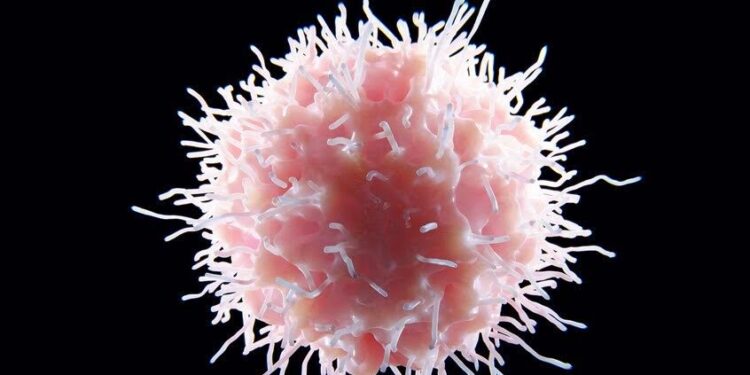 مع بداية “موسم الأمراض”.. أطعمة أساسية لتعزيز المناعة