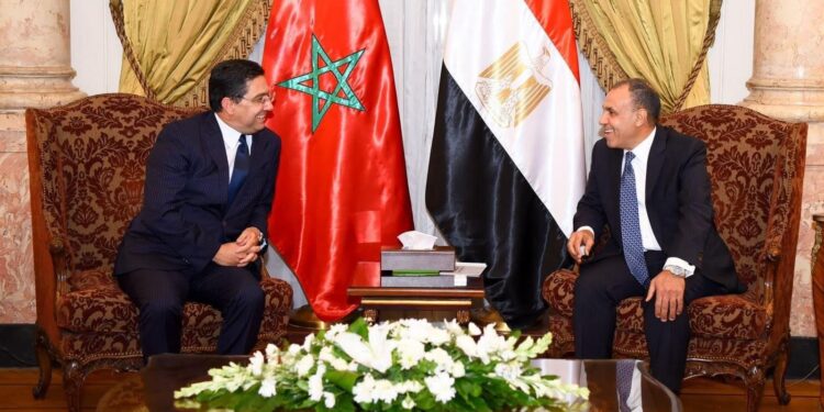 ناصر بوريطة يجري بالقاهرة مباحثات مع وزير الخارجية والهجرة وشؤون المصريين بالخارج.