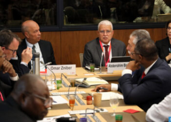 تحويلات المهاجرين الأفارقة: المدير العام لبنك المغرب يدعو إلى الربط البيني لأنظمة الأداء