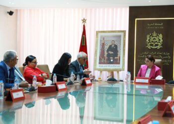 فاطمة الزهراء المنصوري تجتمع مع رئيس وأعضاء المجلس الوطني لهيئة المهندسين المعماريين