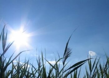 حالة الطقس لليوم الإثنين