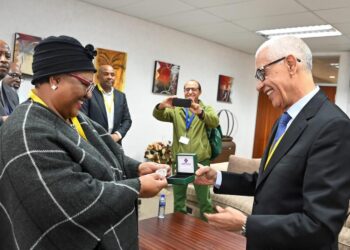 رئيس مجلس النواب يجري مباحثات بجوهانسبورغ مع رئيسة برلمان جنوب إفريقيا