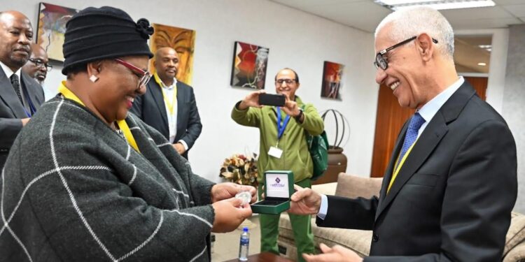 رئيس مجلس النواب يجري مباحثات بجوهانسبورغ مع رئيسة برلمان جنوب إفريقيا