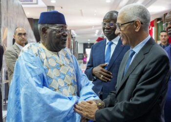 رئيس مجلس النواب يجري مباحثات مع رئيس الجمعية الوطنية للكاميرون