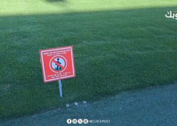 وجدة …الاستعدادات متواصلة بالملعب الشرفي لاستقبال مبارة الأسود ضد إفريقيا الوسطى